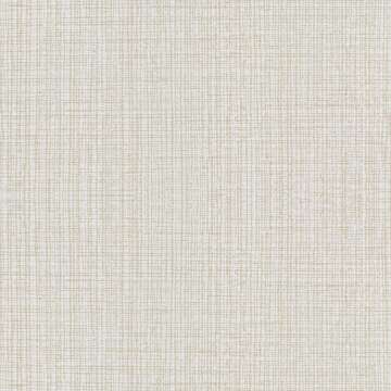 Engrave #1 Birch