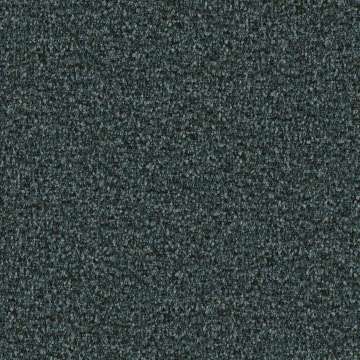 Speckle