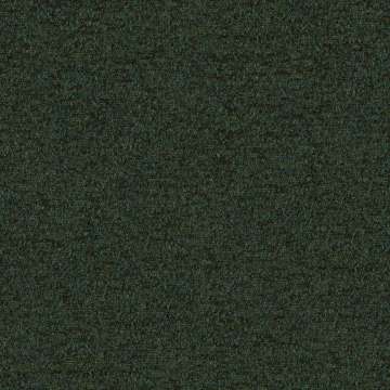 Speckle