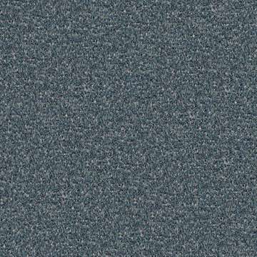 Speckle