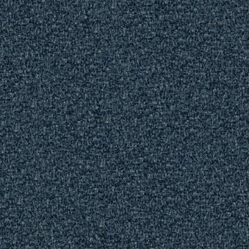 Speckle
