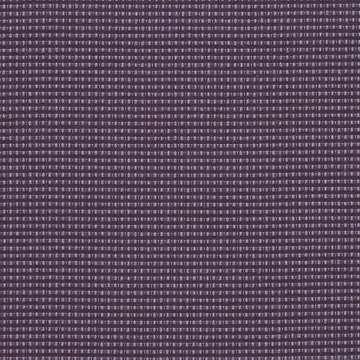 Appleseed Aubergine