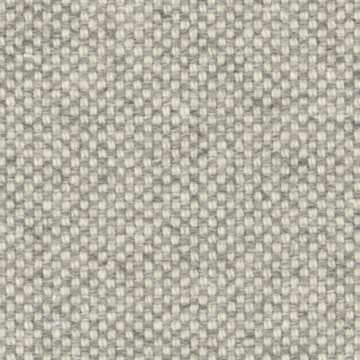 Checker Asteroid