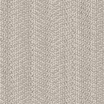 Banyan Chevron Cv