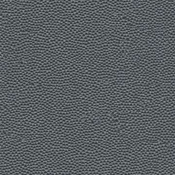 Bijou Charcoal