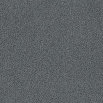 Biograin Charcoal
