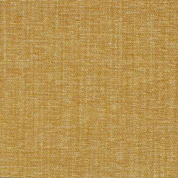 Brushed Canvas
