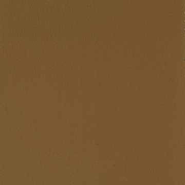 All Seasons Allspice