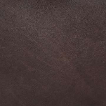 Cafe Leather