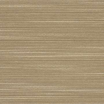 Calypso Ii 483