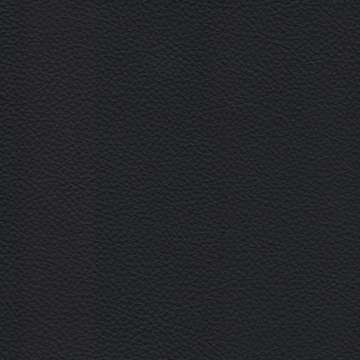 Catalina Leather