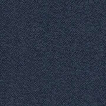Catalina Leather Atlantis