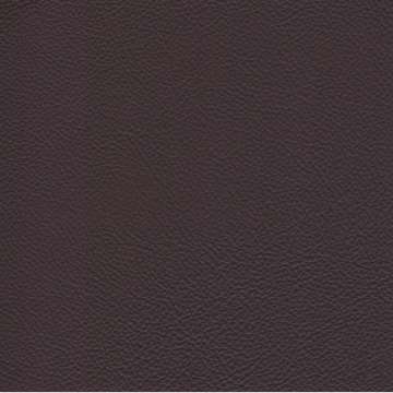 Catalina Leather