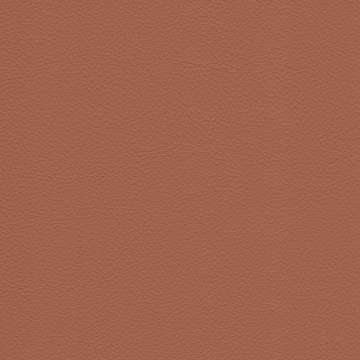 Catalina Leather