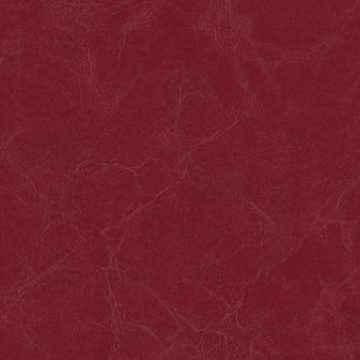 Celebrity Cv Carmine