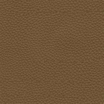 Couture Caramel