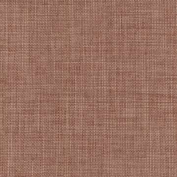Denim Wash Cinnamon Sugar