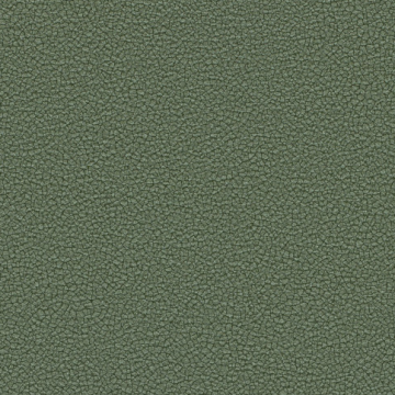 Dune Glade