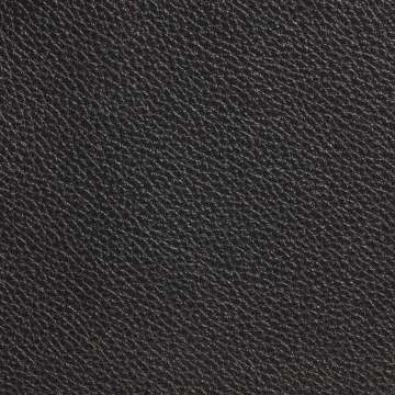 Edelman Leather Black
