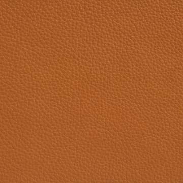 Elmobaltique Leather