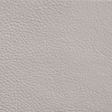 Elmorustical Leather
