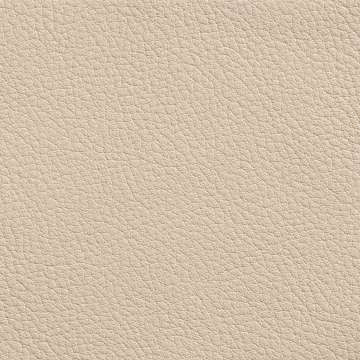 Elmorustical Leather