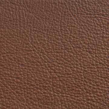 Elmorustical Leather