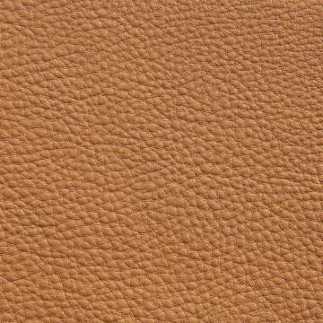 Elmorustical Leather