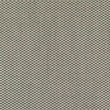 Serpentine