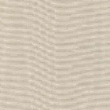 Moire 0001