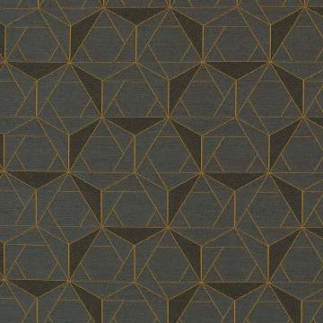 Folded Lines