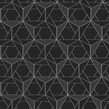 Folded Lines