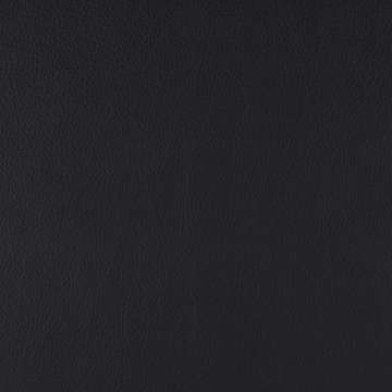 Free Way Leather Raven