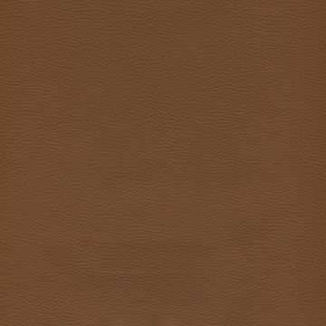 Genero Amaretto 