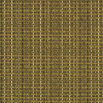 Grateful Grid Alligator