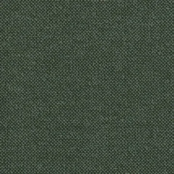 Ground Cover Conifer