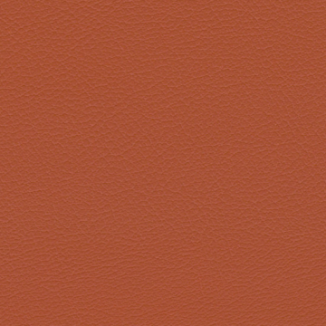Juggernaut
