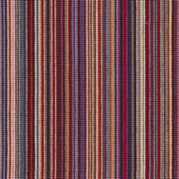 Striae Stripe