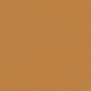 Prairie Almond