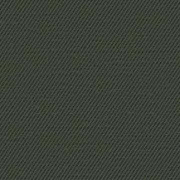 Fancy Twill Hunter
