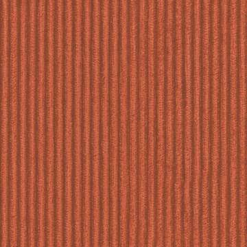 Cozy Cord Amber