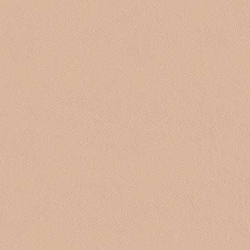 California Apricot