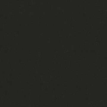 Longhorn Black