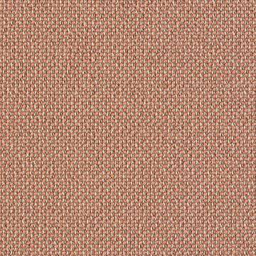 Interstice Trace