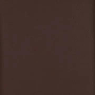Top Coat Aniline