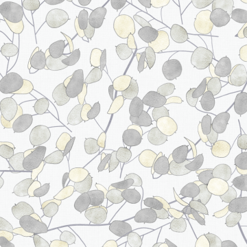 Lunaria Winter White
