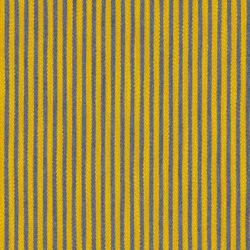 Concord Stripe Monitor