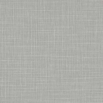 Elm Bonefish