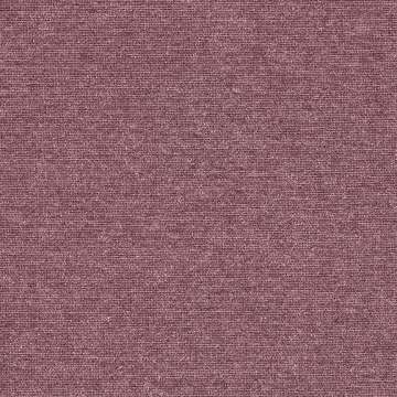 Levity Anemone