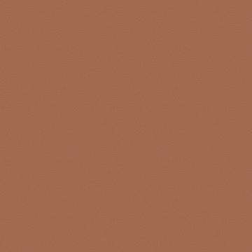 Prone Leather